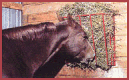 hay racks